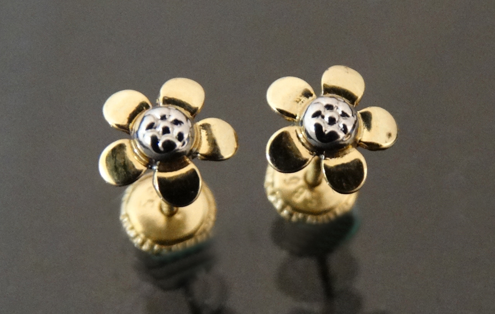 Arete de bebé en flor